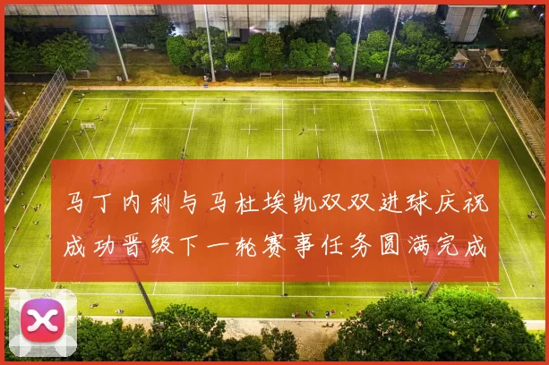 马丁内利与马杜埃凯双双进球庆祝成功晋级下一轮赛事任务圆满完成