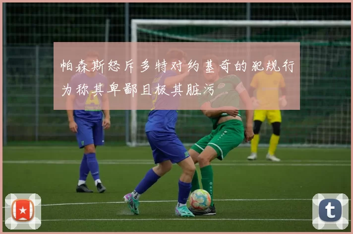 帕森斯怒斥多特对约基奇的犯规行为称其卑鄙且极其脏污