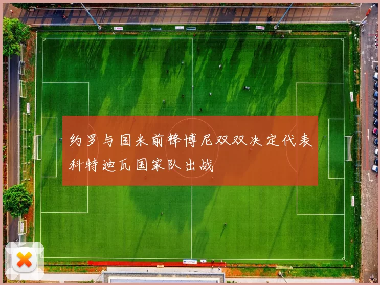 约罗与国米前锋博尼双双决定代表科特迪瓦国家队出战